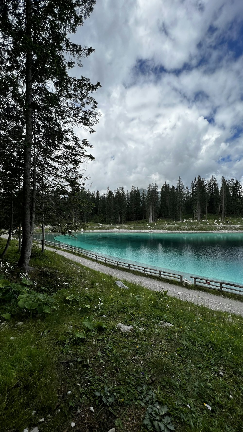 a large body of water surrounded by trees