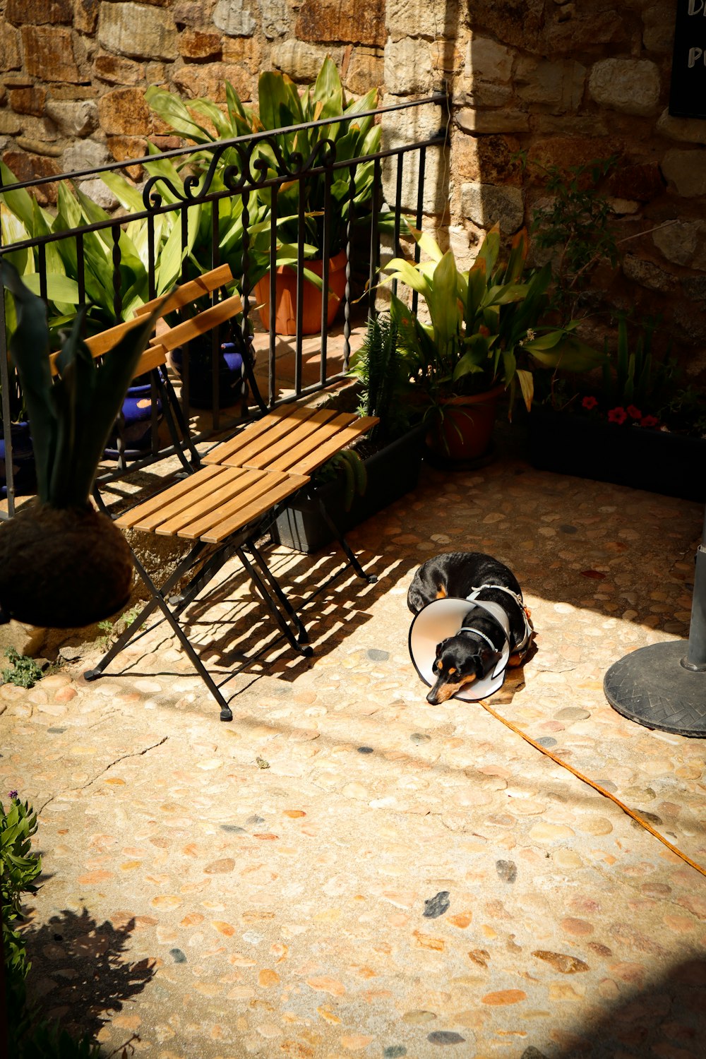 a dog laying on a patio next to a wooden bench