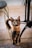 a cat standing on the ground next to a chair