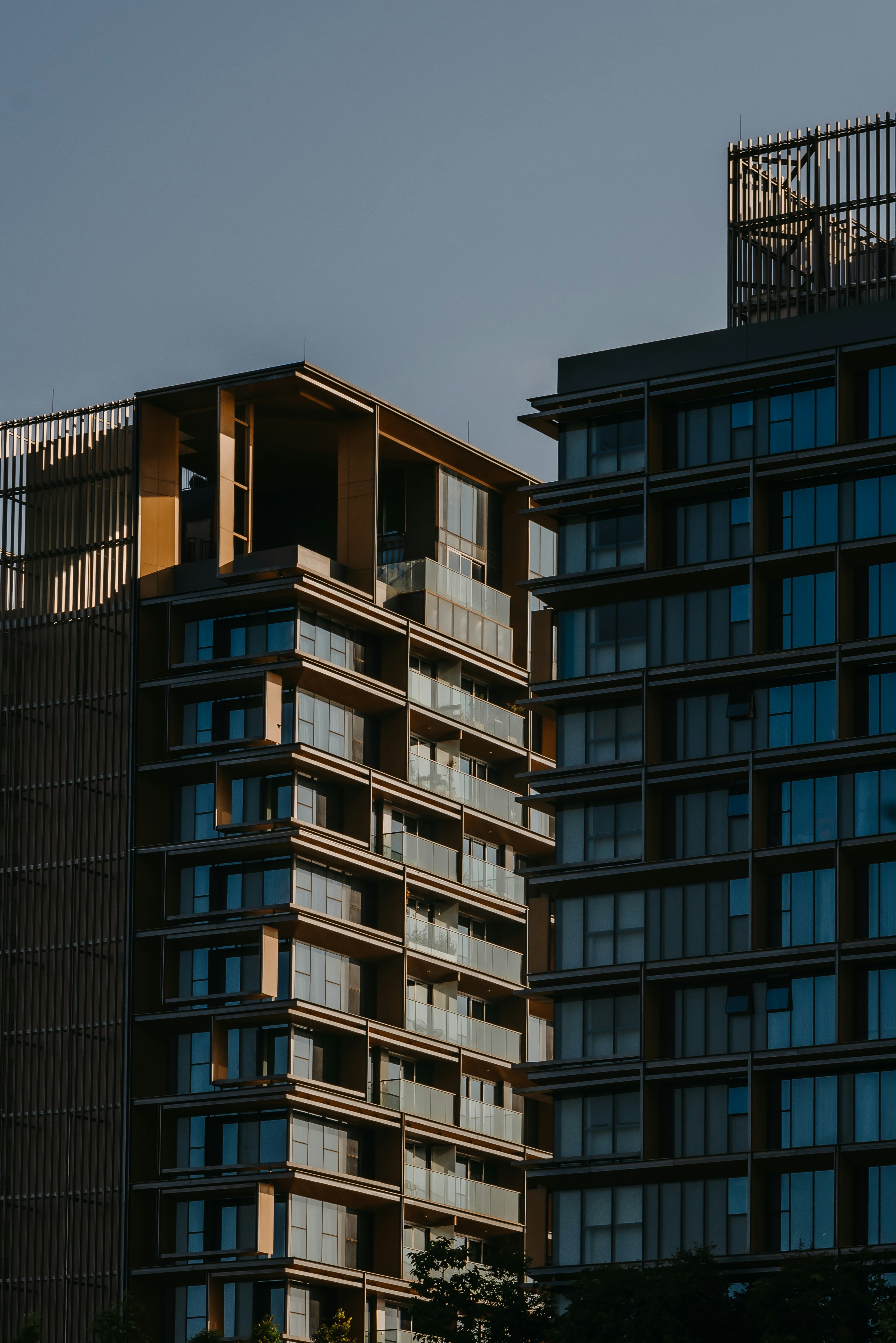 Photo by haisonsdiry