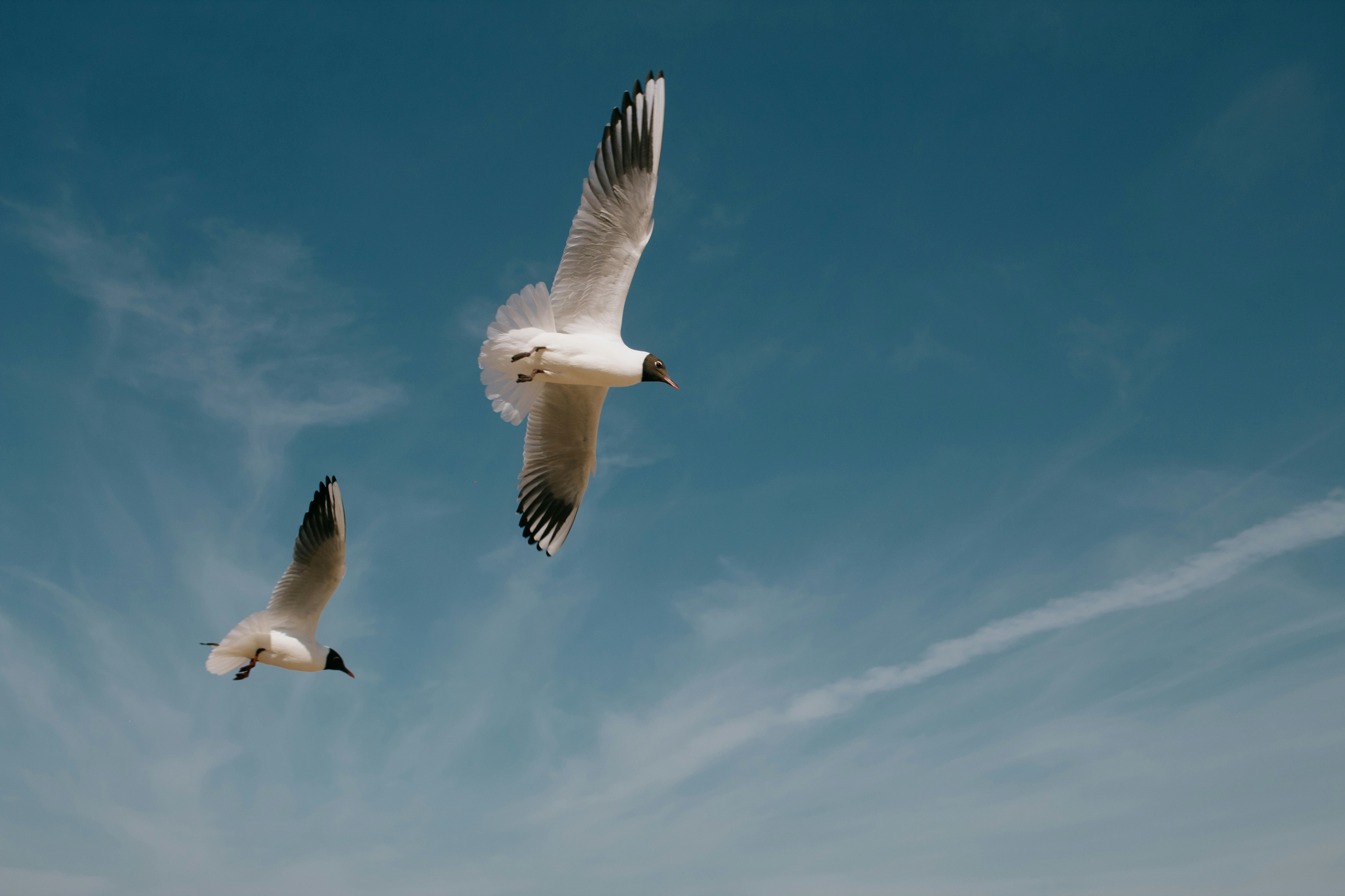 Jurmala – Geography & Spatial Structure