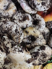 A close-up view of several dirt-covered mushrooms with varying sizes. The fungi display a mix of light, creamy colors and dark patches of soil, with some orange hints in the background.