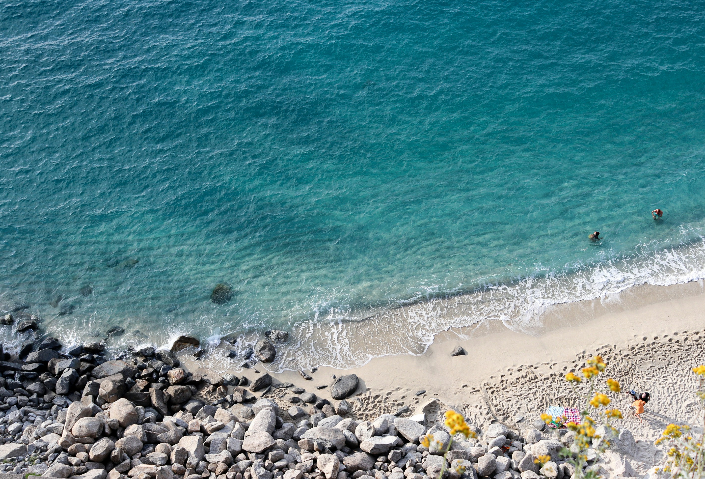 数人が海で泳いでいます