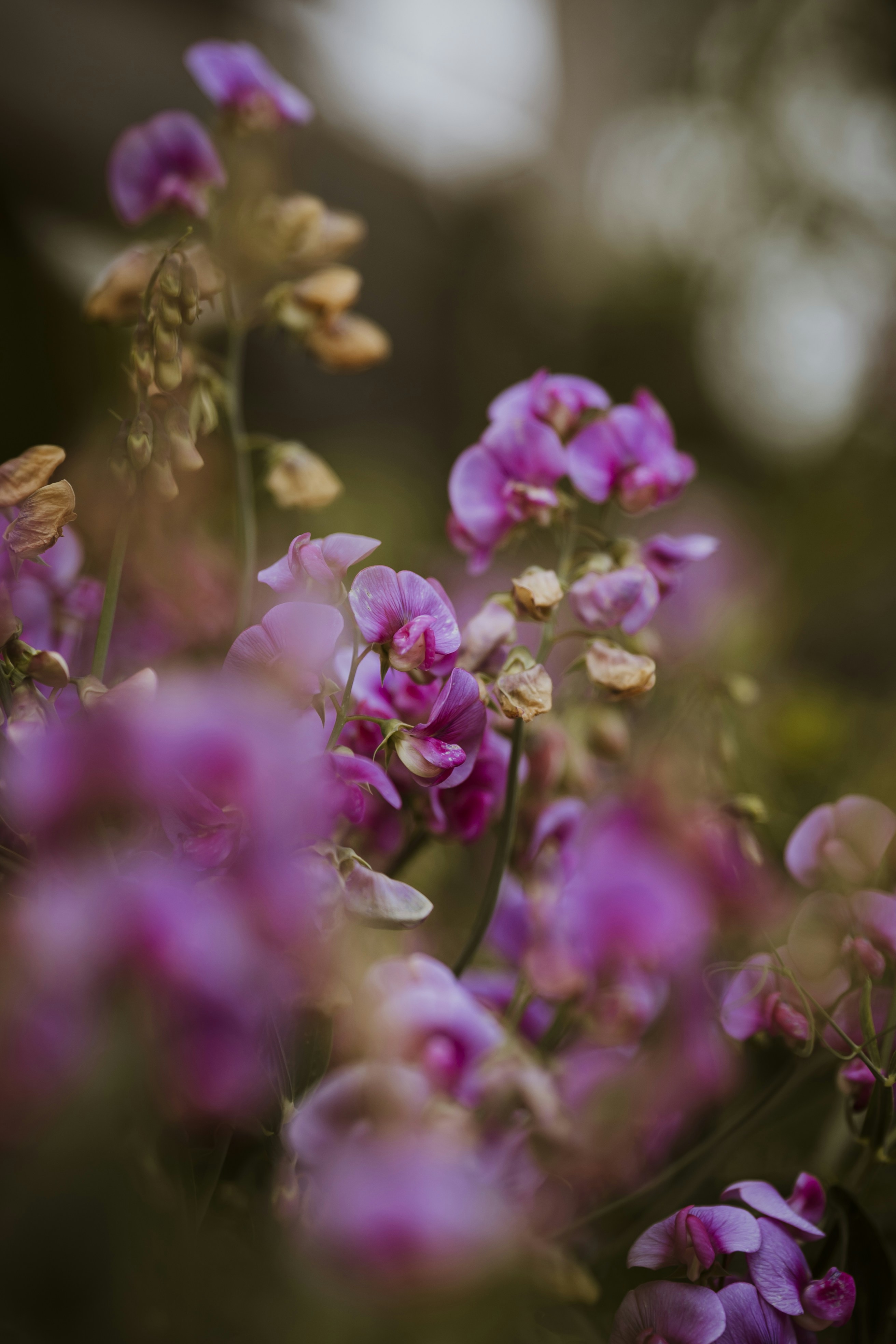 Photo by what_co_capture