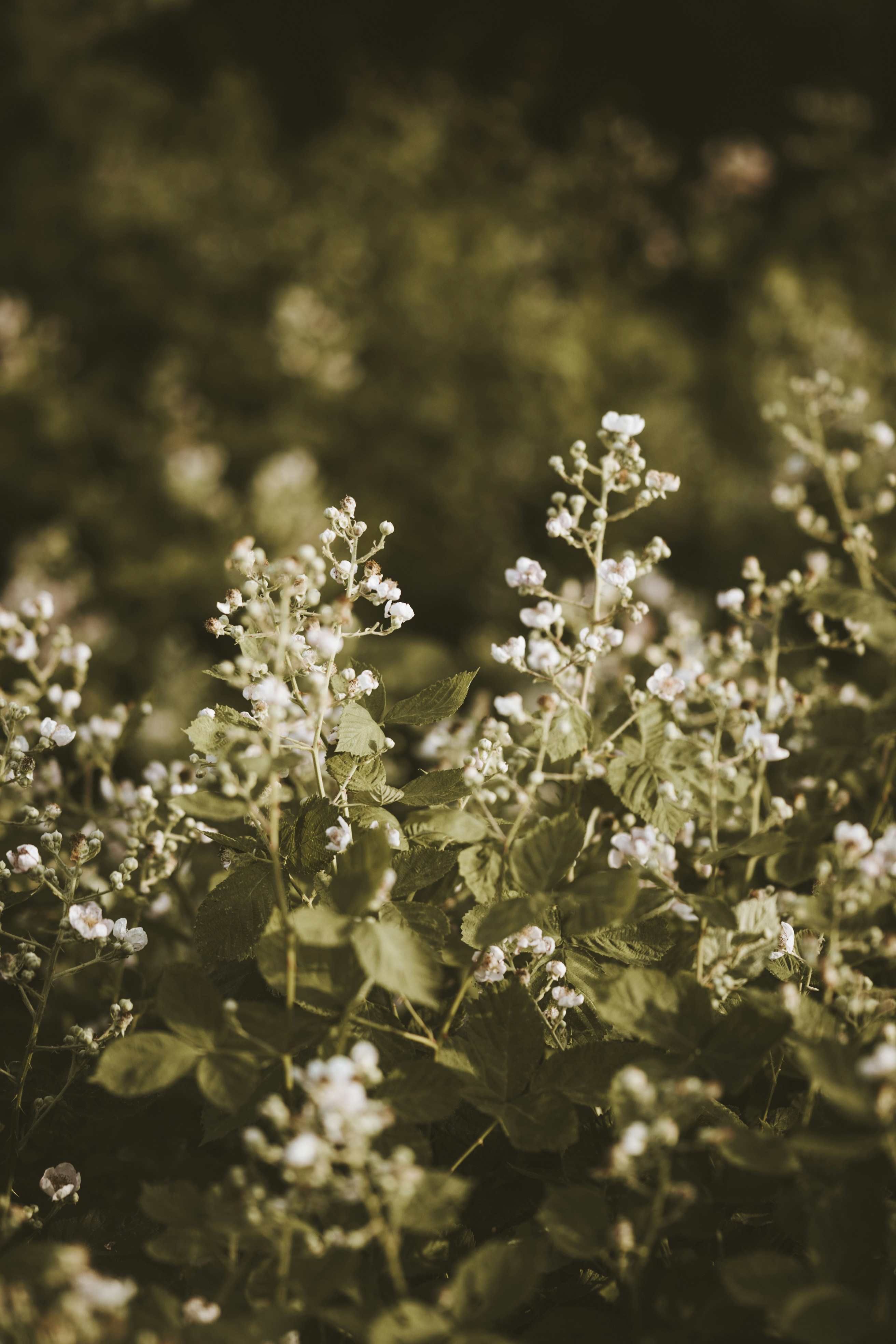 Photo by what_co_capture