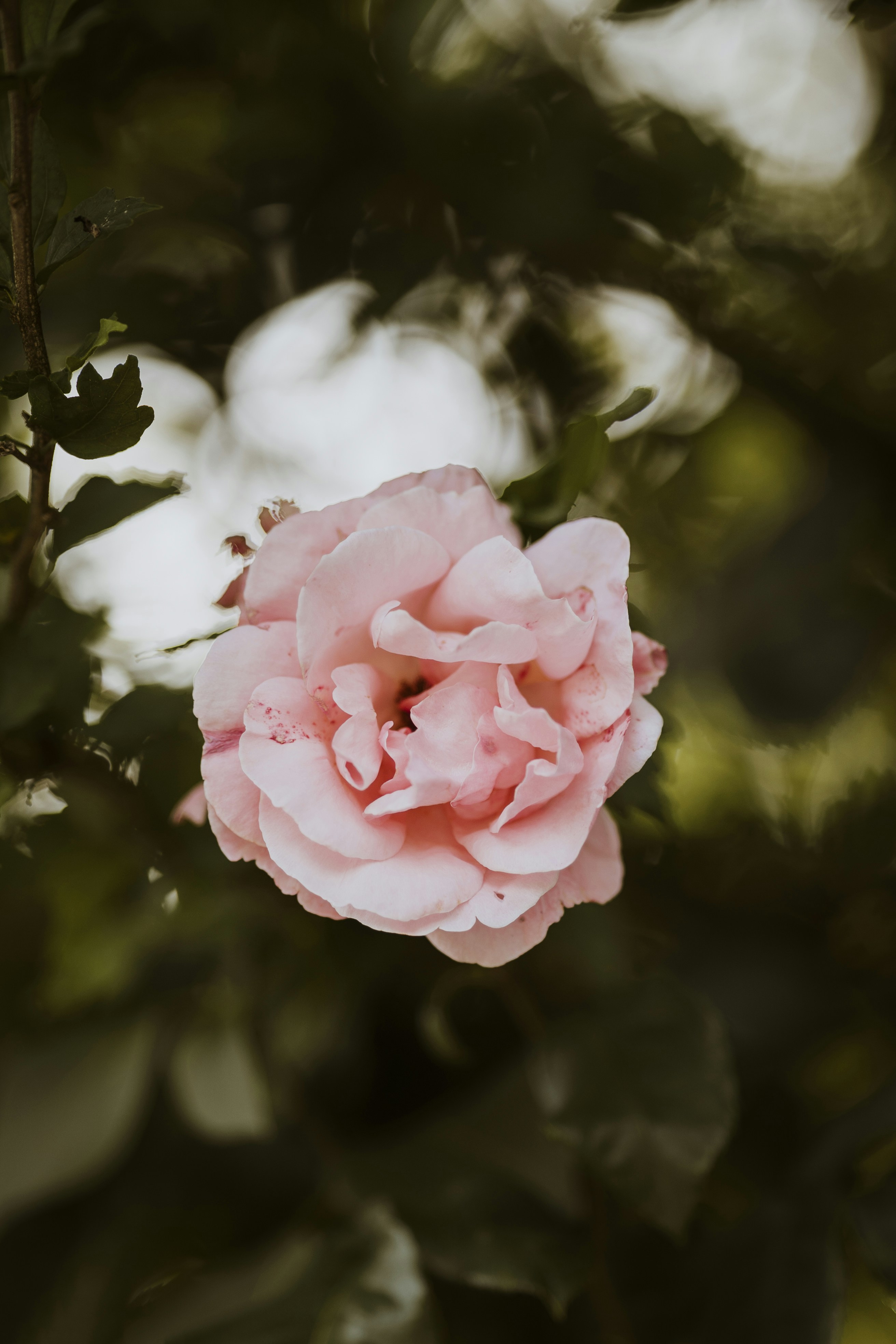 Photo by what_co_capture