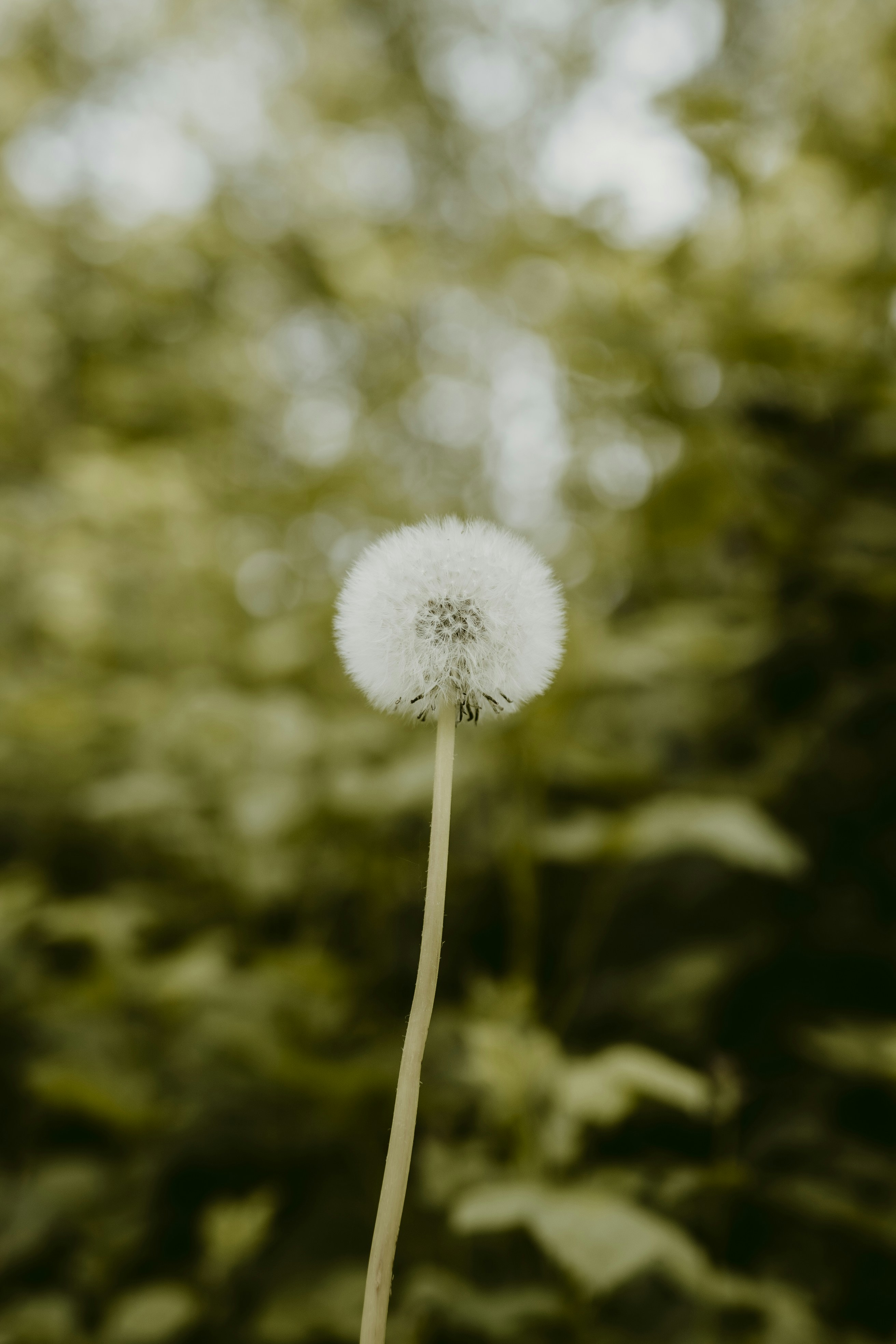 Photo by what_co_capture