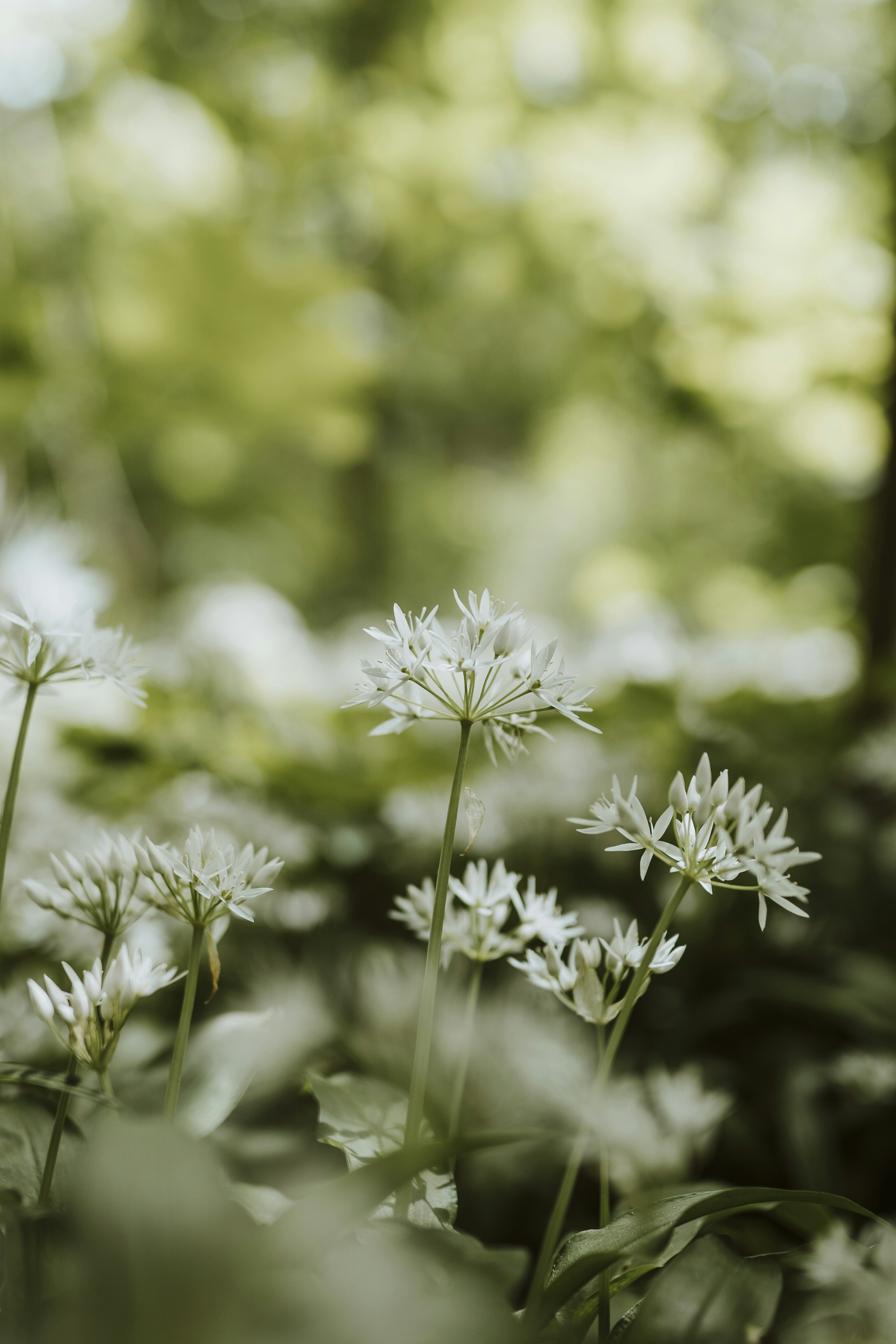 Photo by what_co_capture