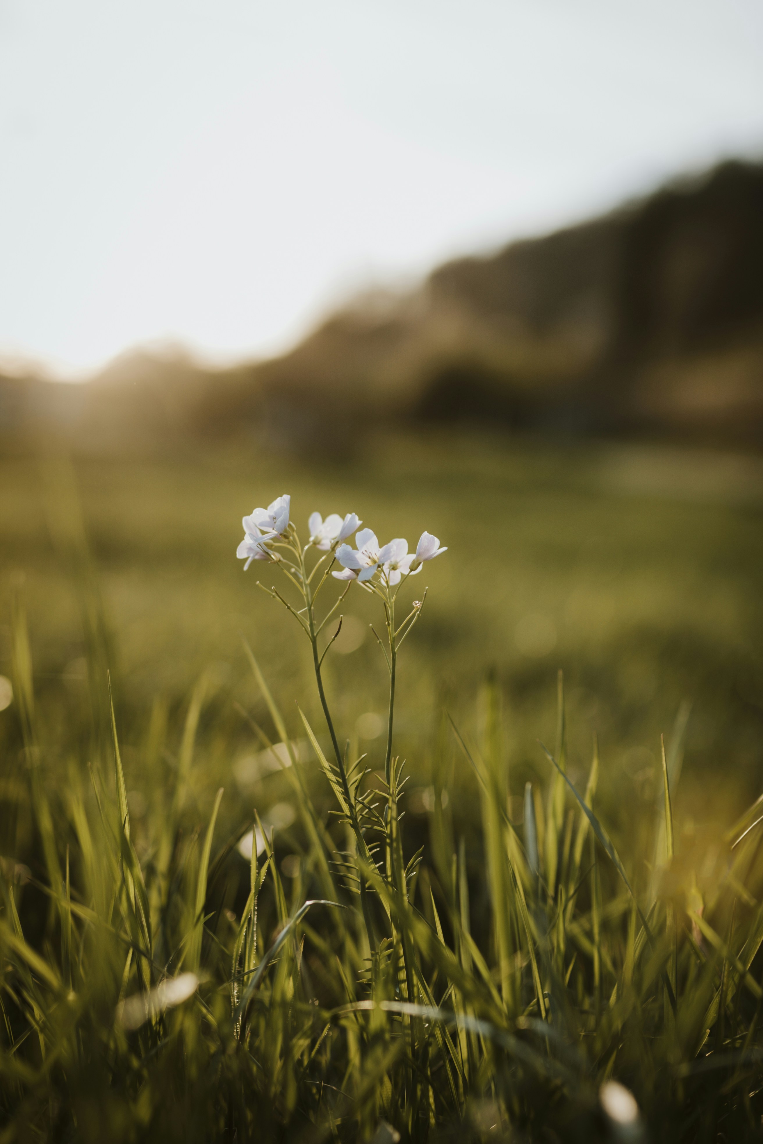 Photo by what_co_capture