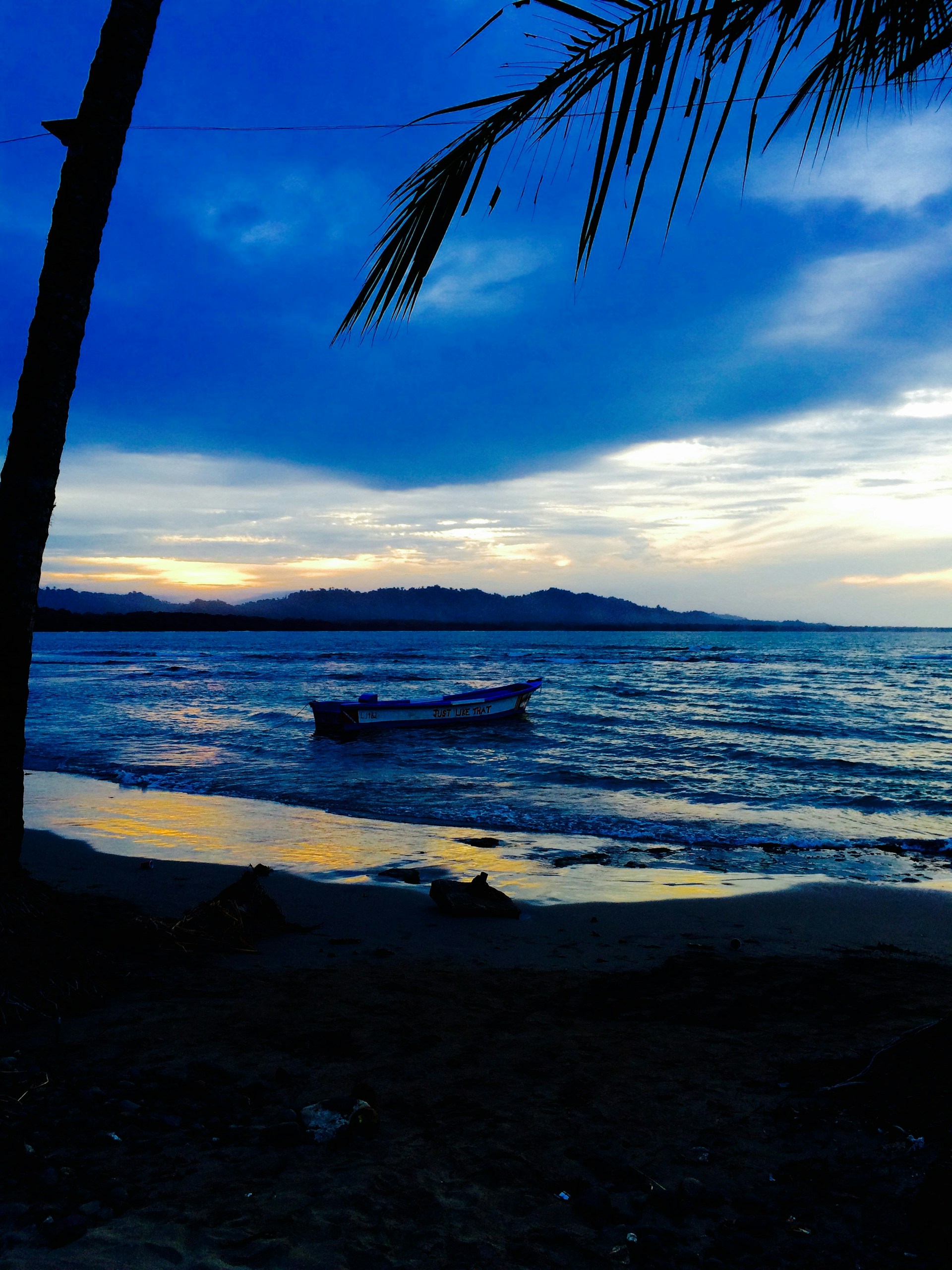 gray computer monitor