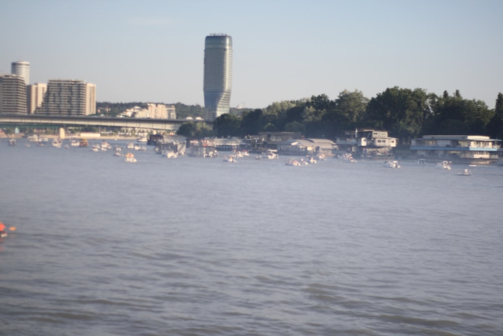 a body of water filled with lots of boats