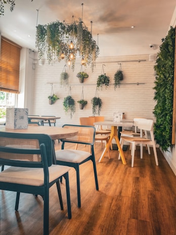 Light-filled café interior showing simple wooden furniture, subtle Scottish tartan cushions, and plants by the window.