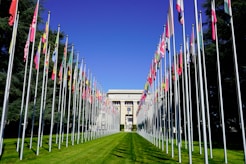a long row of flags in front of a building