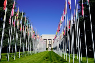 a long row of flags in front of a building