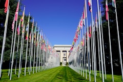a long row of flags in front of a building