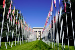 a long row of flags in front of a building