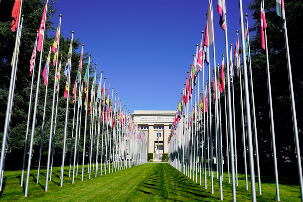 a long row of flags in front of a building