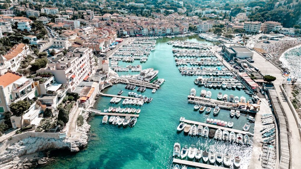 a harbor filled with lots of boats next to a city