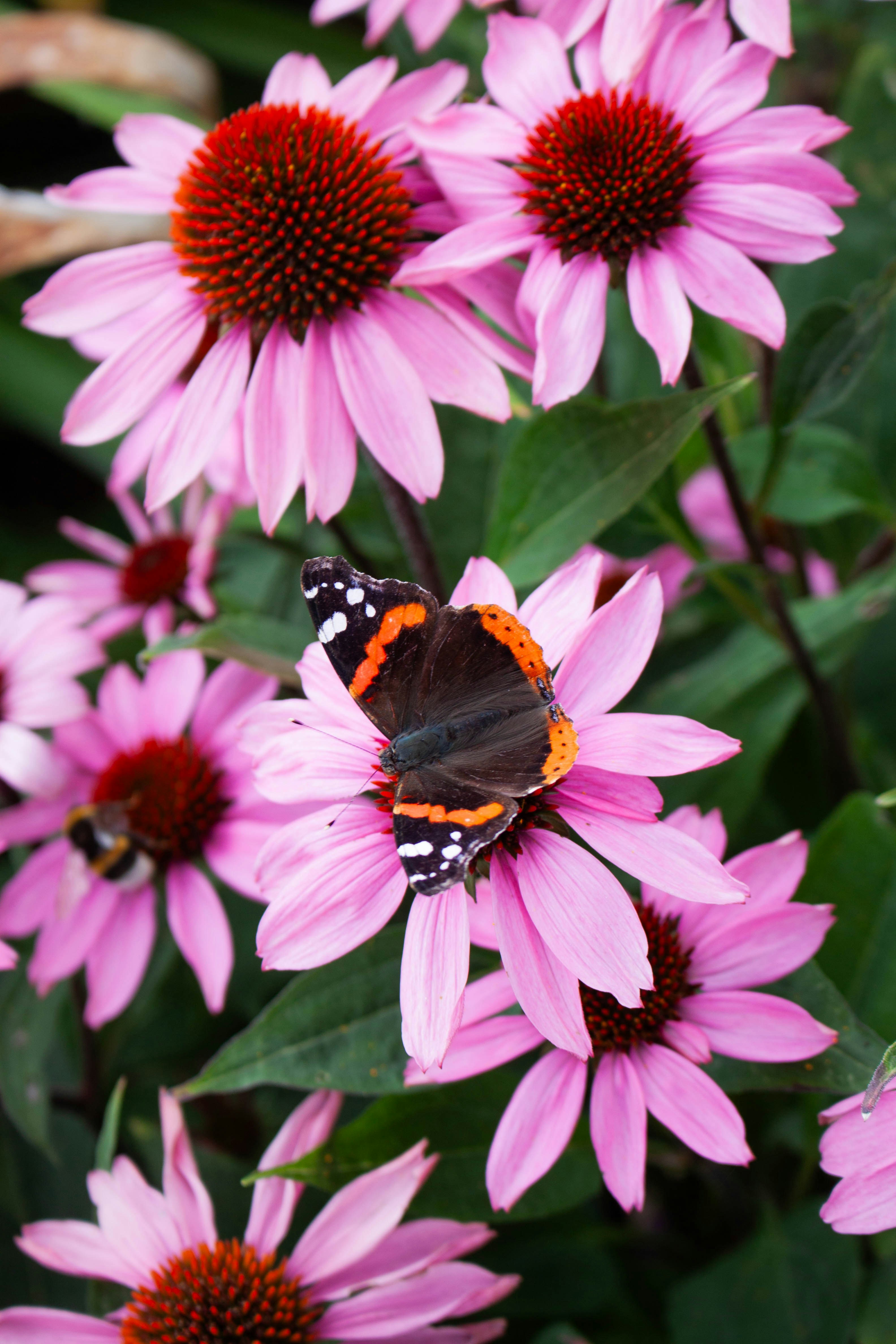 Photo by kamillaisalieva