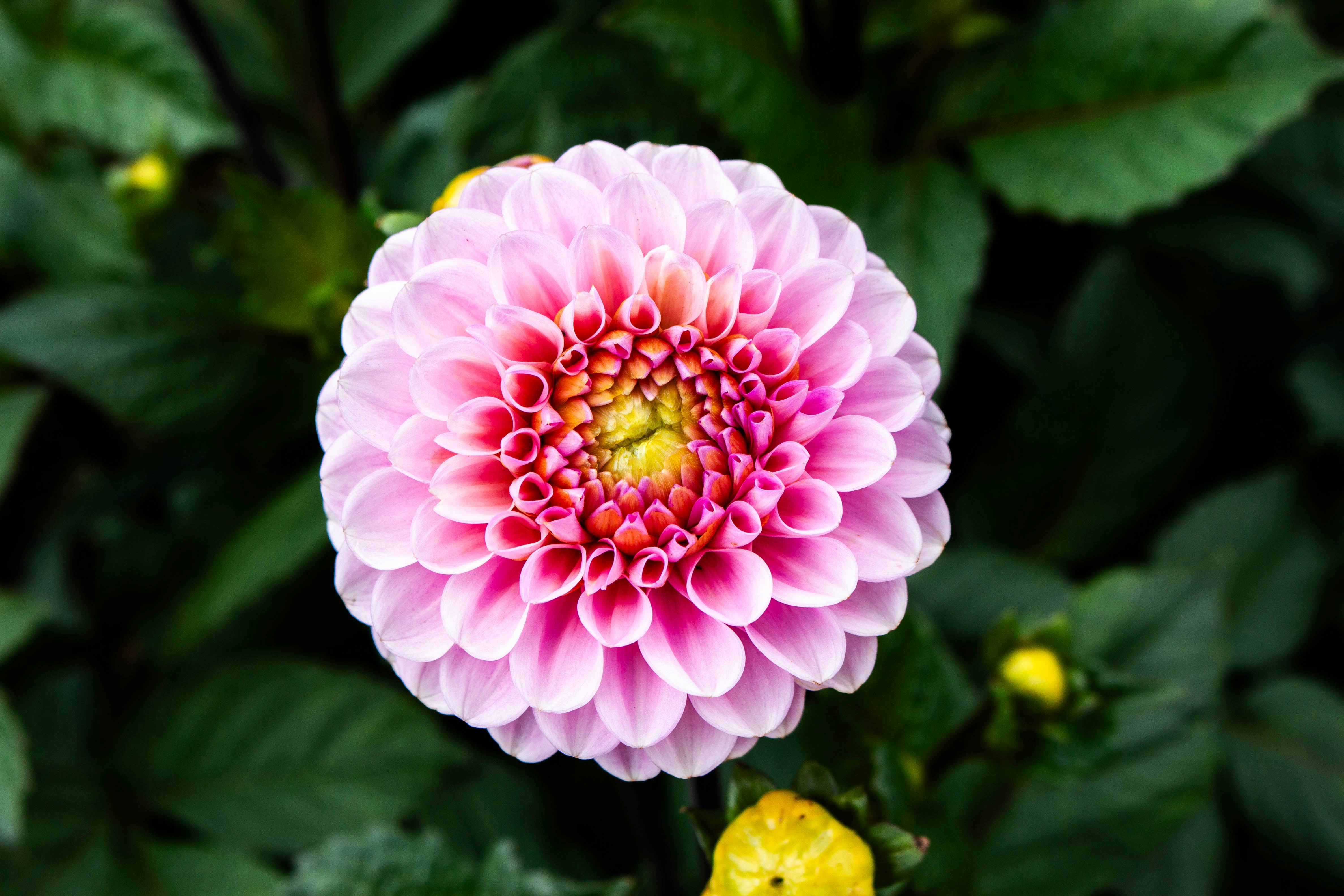 Photo by kamillaisalieva