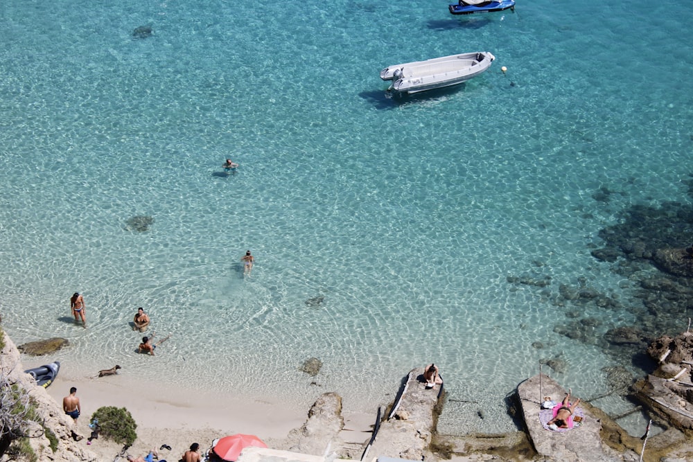 a group of people swimming in a body of water