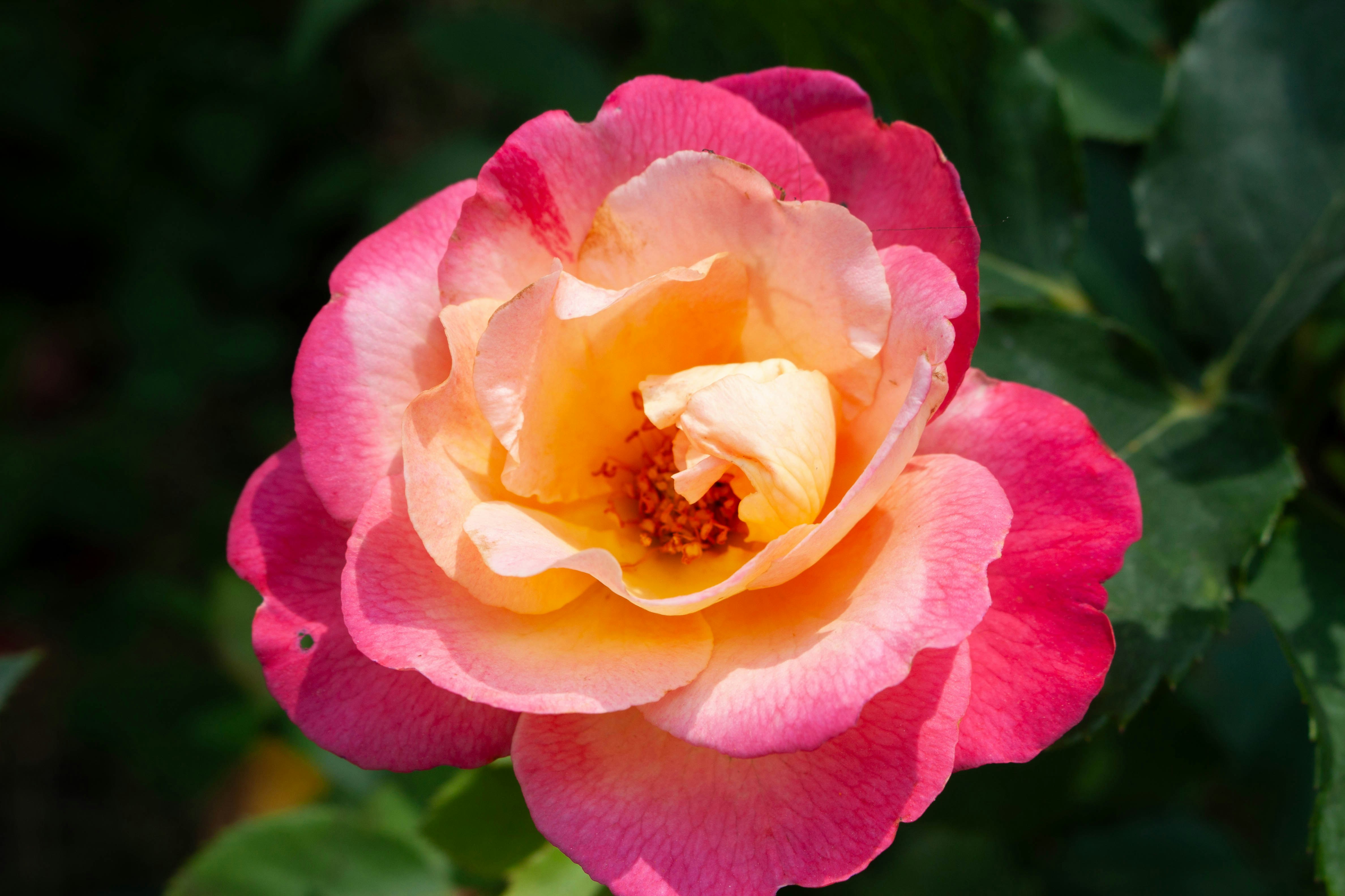 Photo by kamillaisalieva