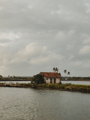 Cozy two-bedroom house nestled among lush reeds and waterways of the Ebro Delta at sunset