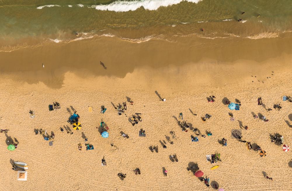 砂浜の上に立つ人々のグループ