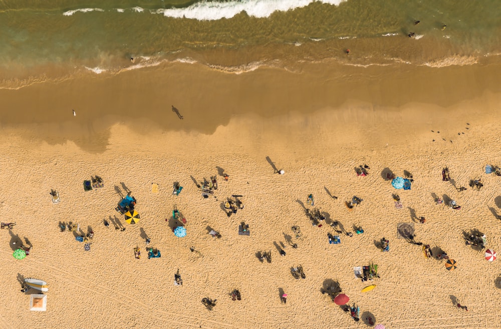 a group of people standing on top of a sandy beach