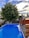 A backyard scene featuring a rectangular swimming pool with clear blue water. In the background, there is a large green tree with full foliage. A wooden fence encloses the area, and a shed is visible. The sky is partly cloudy with patches of blue visible.