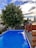 A backyard scene featuring a rectangular swimming pool with clear blue water. In the background, there is a large green tree with full foliage. A wooden fence encloses the area, and a shed is visible. The sky is partly cloudy with patches of blue visible.