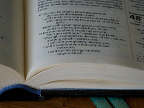 Close-up of an open inkspire book showing beautifully designed pages and captivating text.