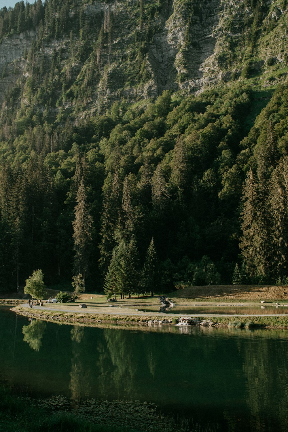 a body of water surrounded by a forest