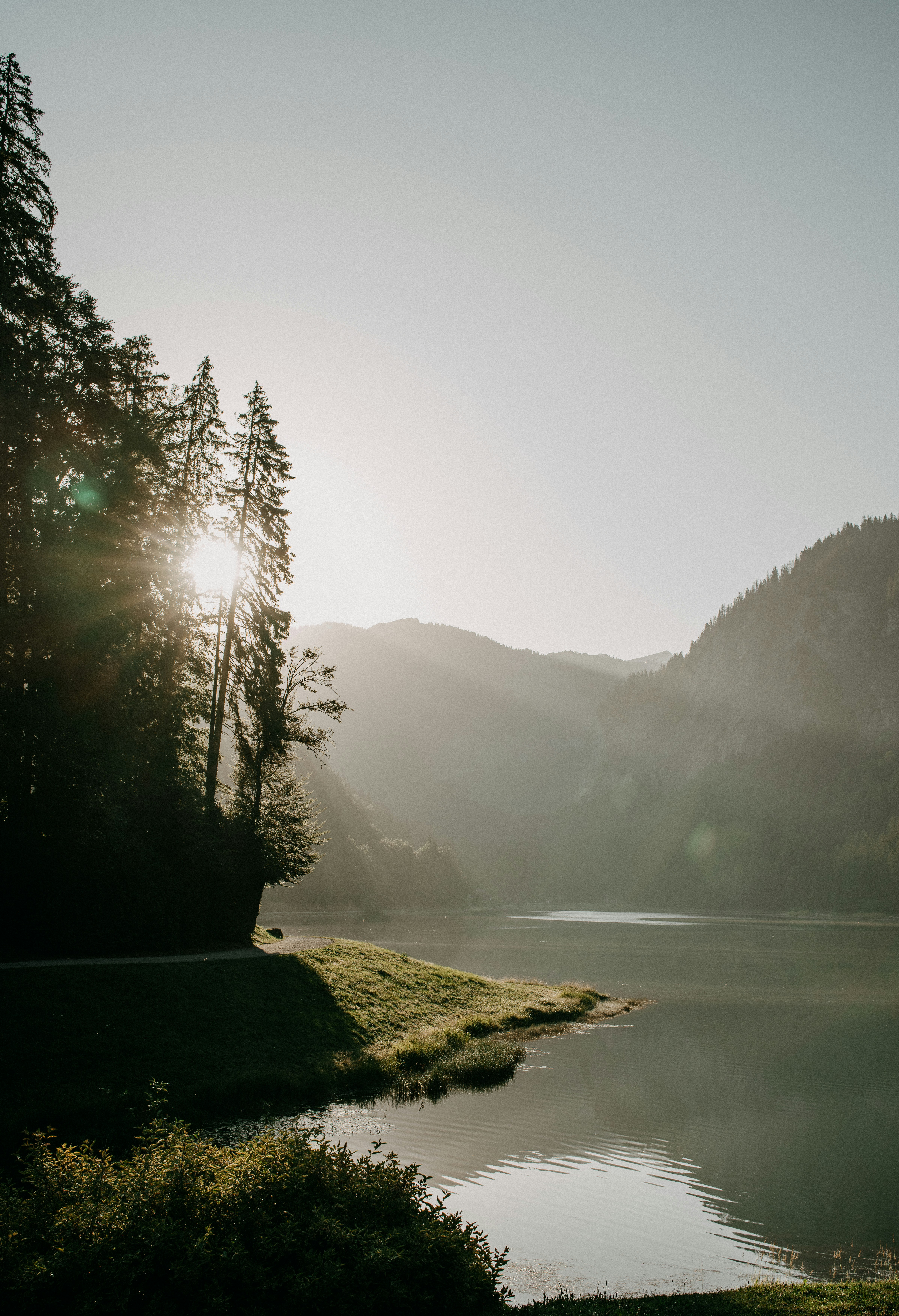 Photo by anniespratt