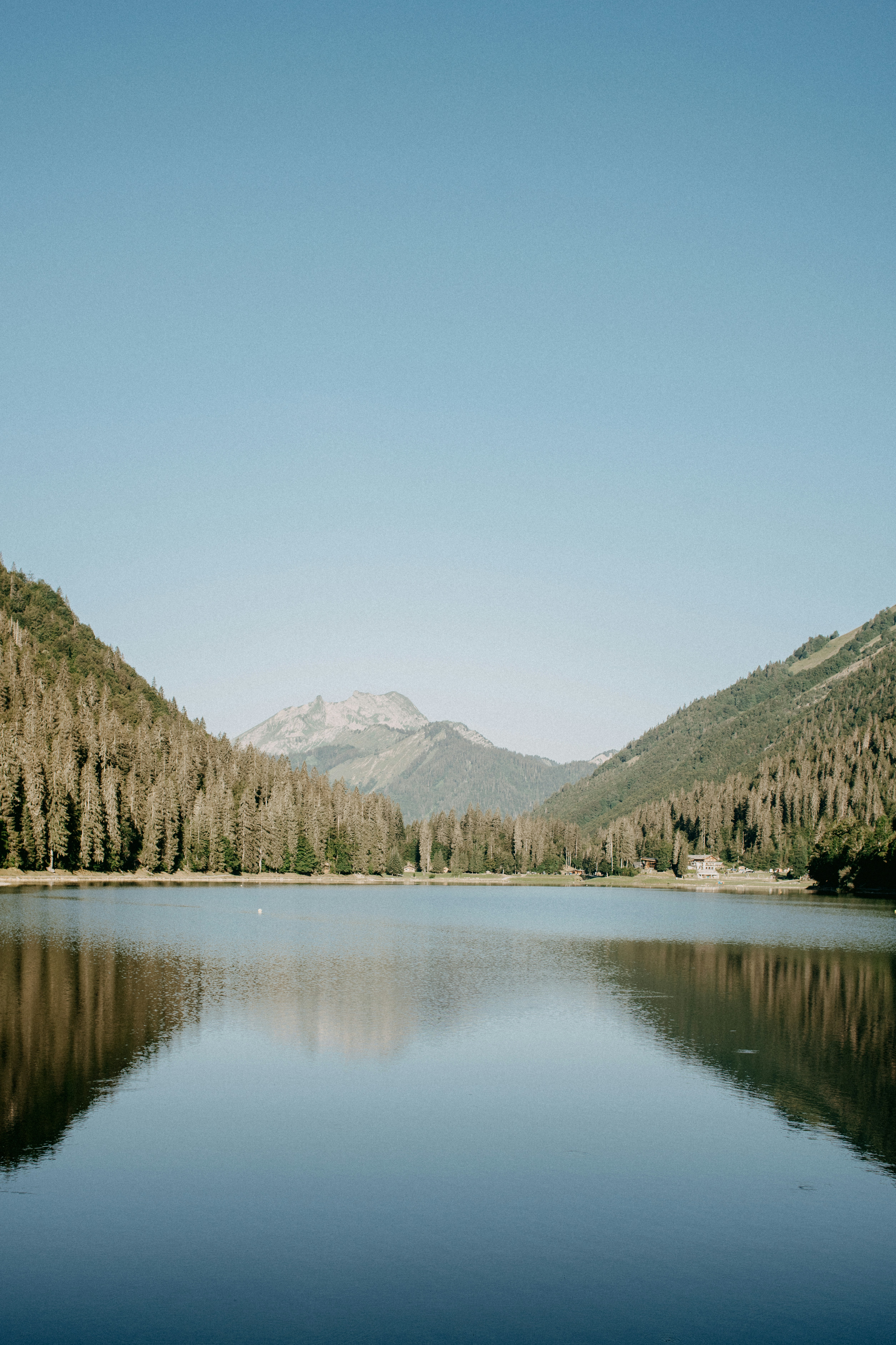 Photo by anniespratt