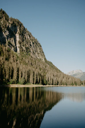 A serene mountain lake reflecting the surrounding pine trees and rocky cliffs.