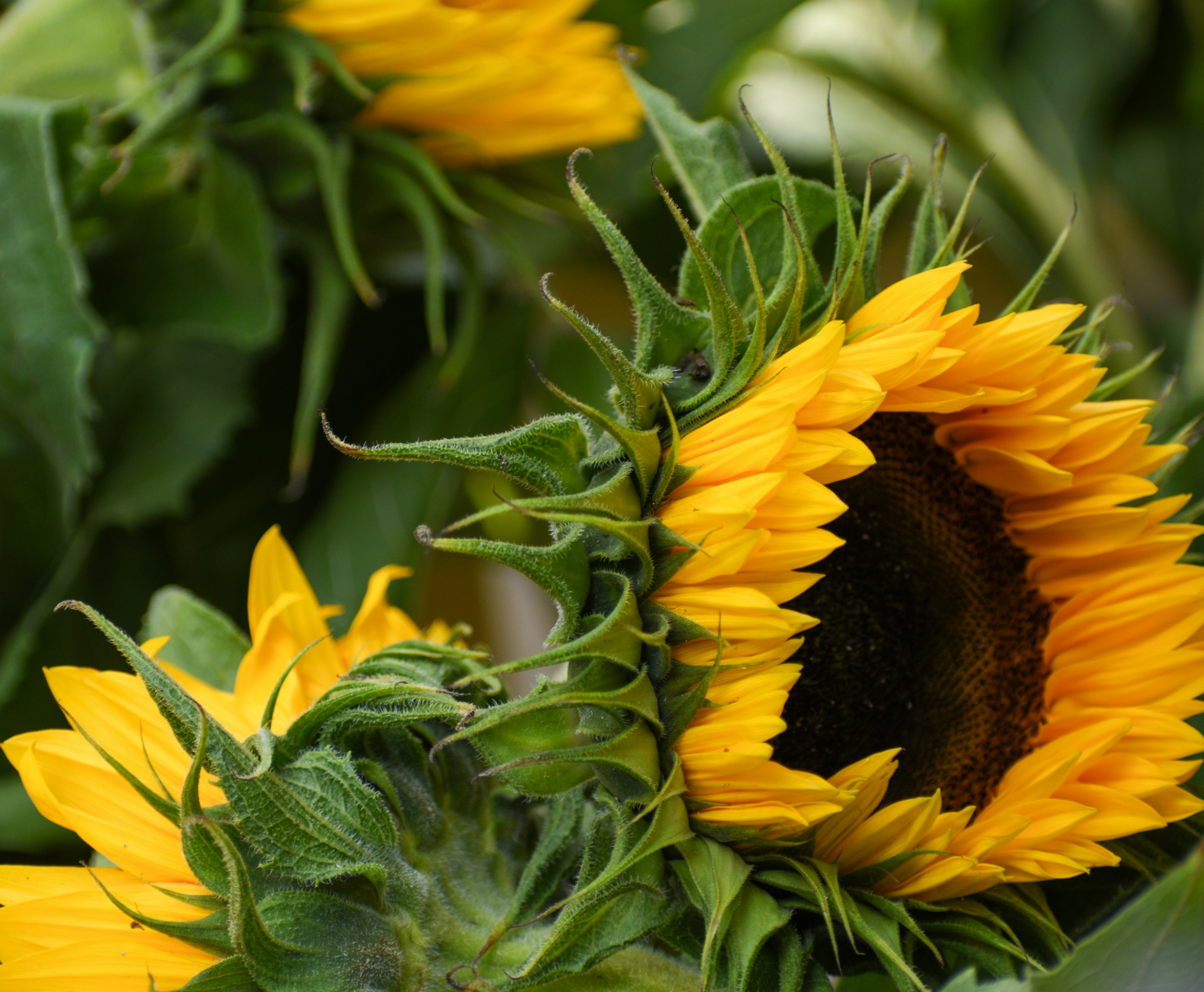 Photo by ceciliamiraldi