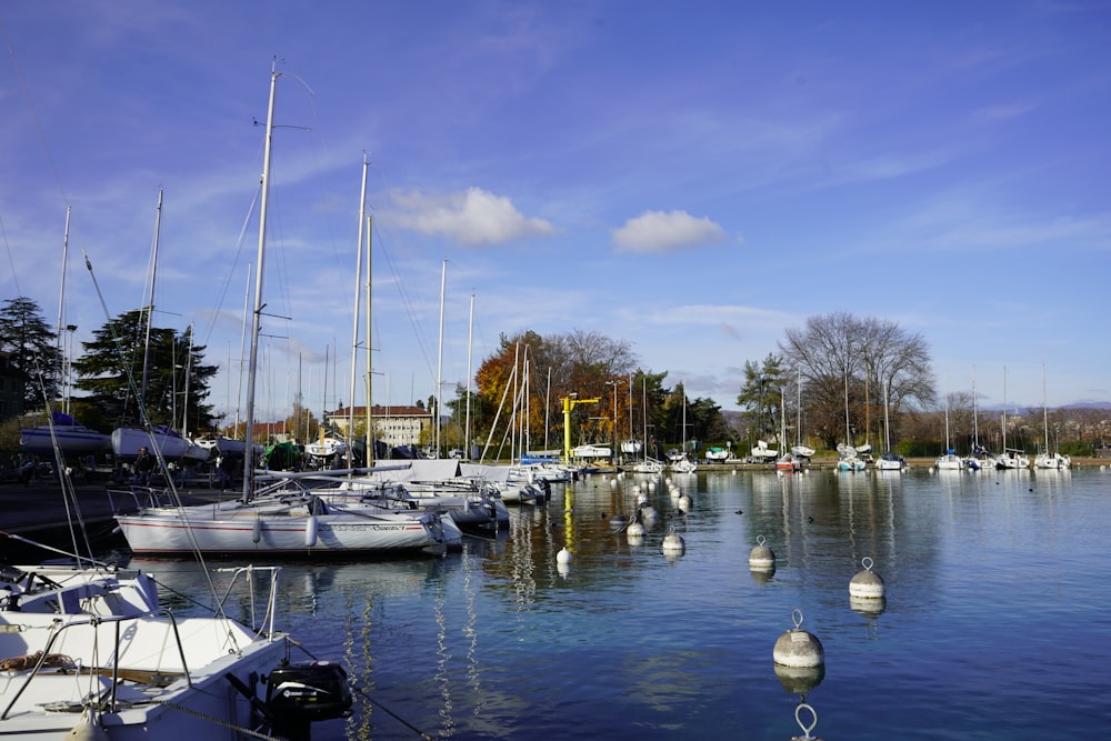 a harbor filled with lots of white boats