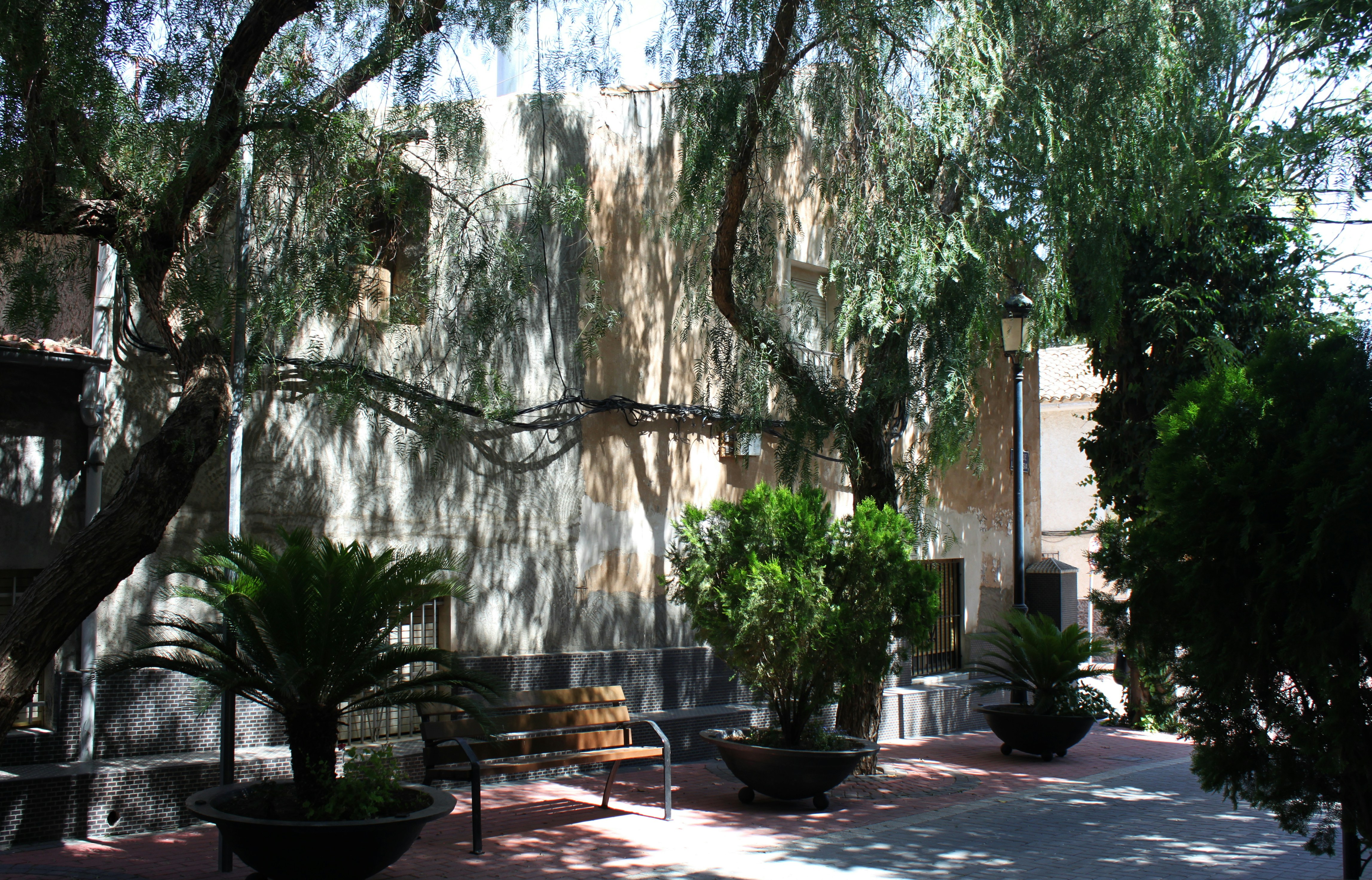 a building with a lot of trees in front of it