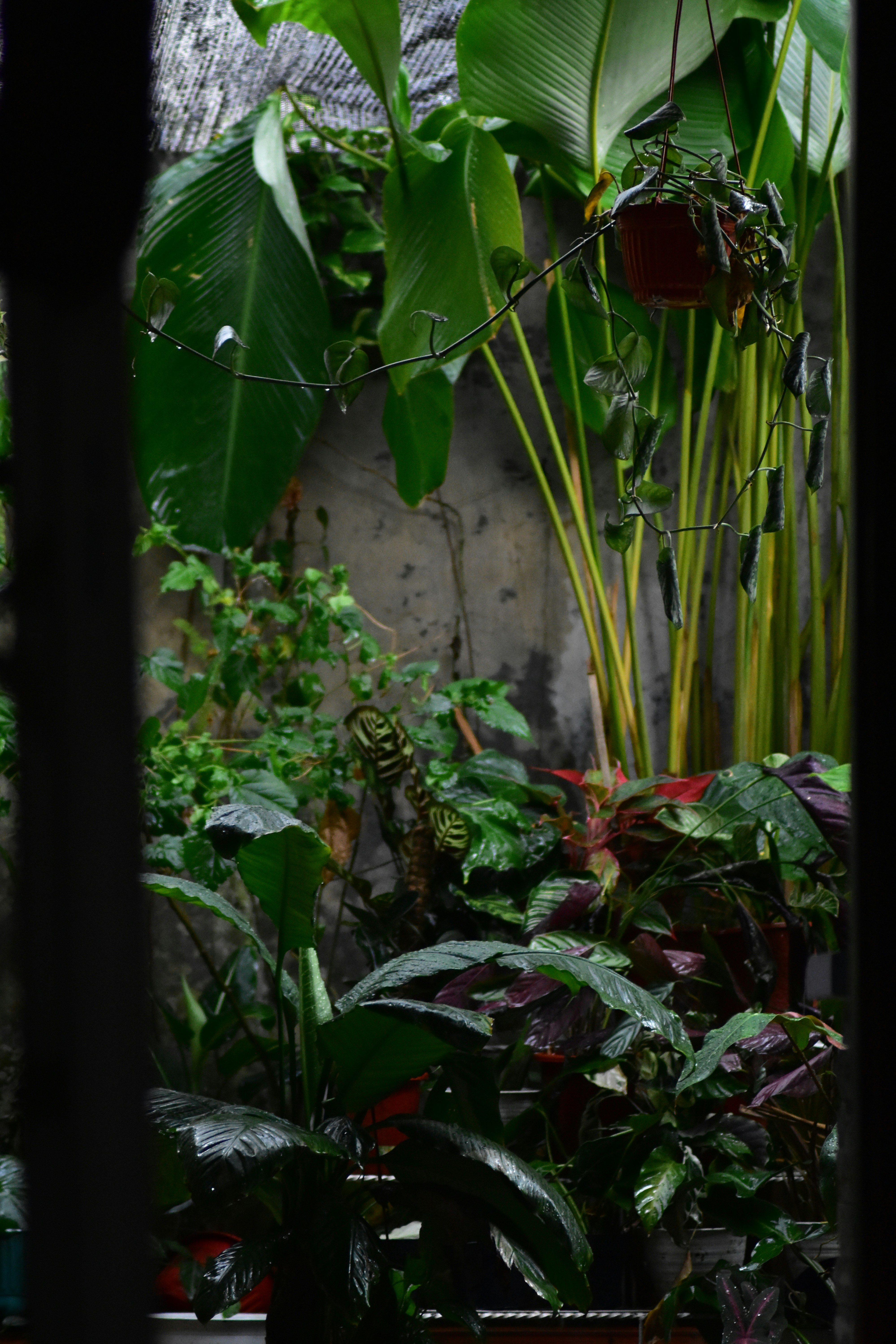 Photo by antonyuwono