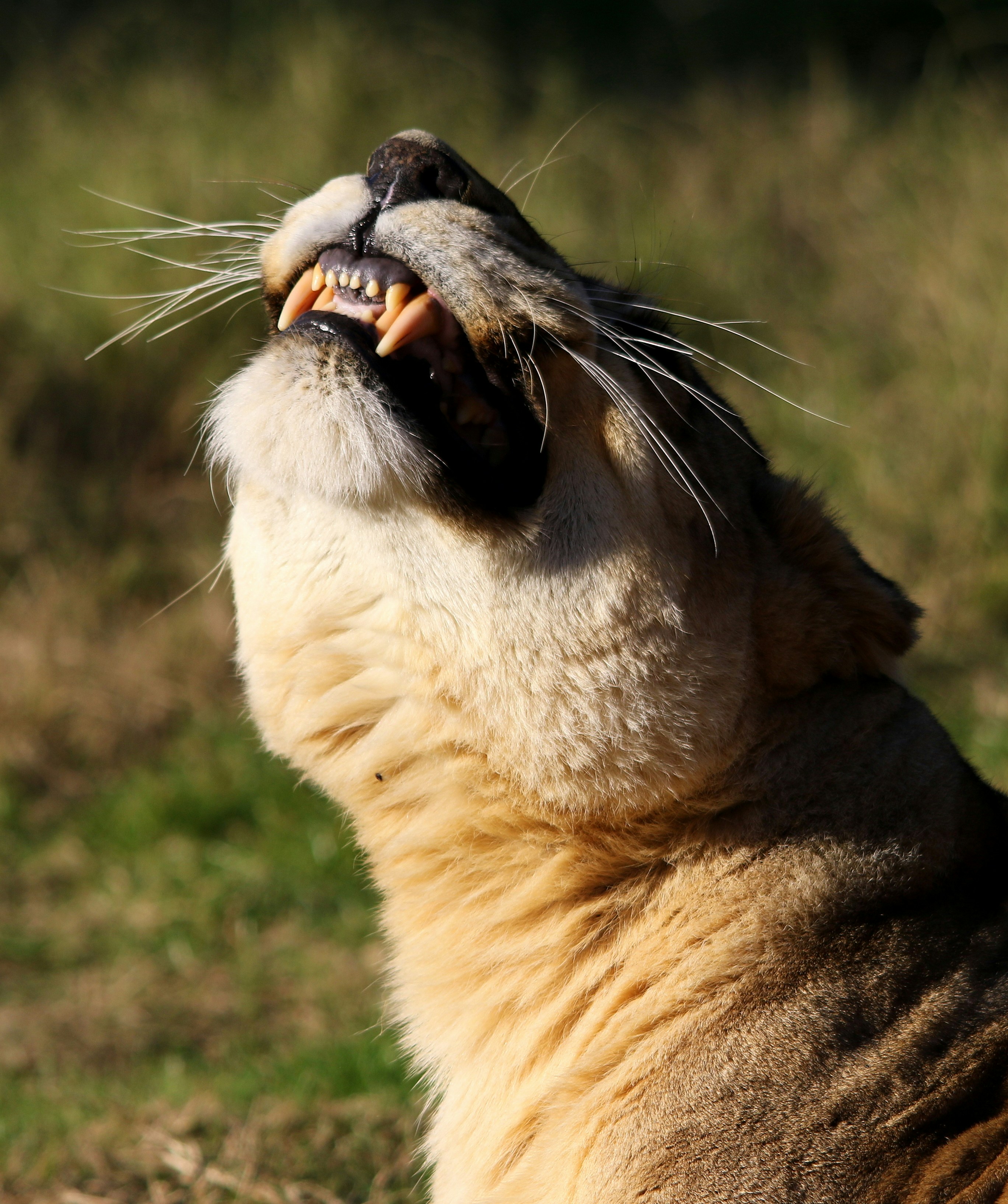 Photo by elizeartist