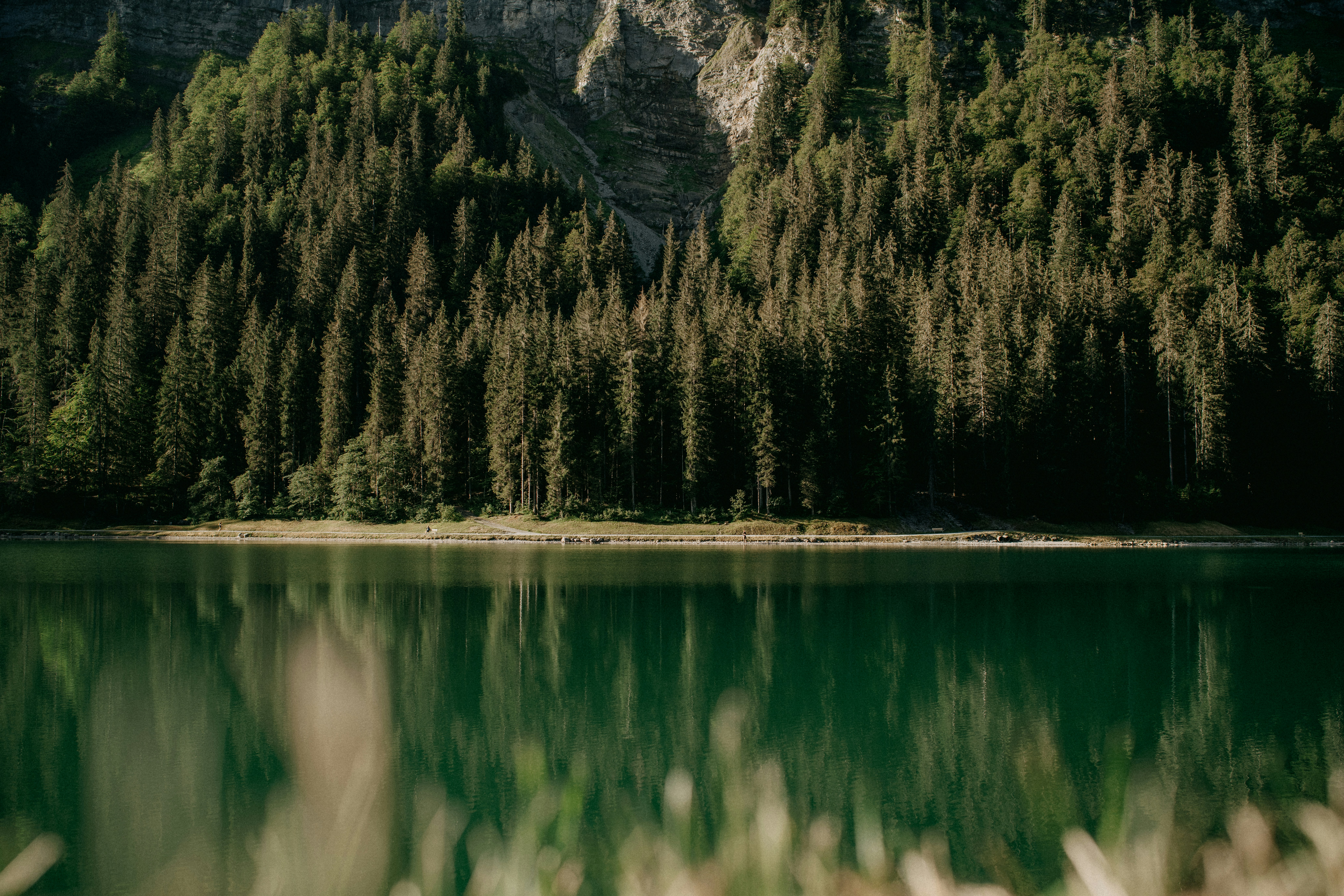 Photo by anniespratt