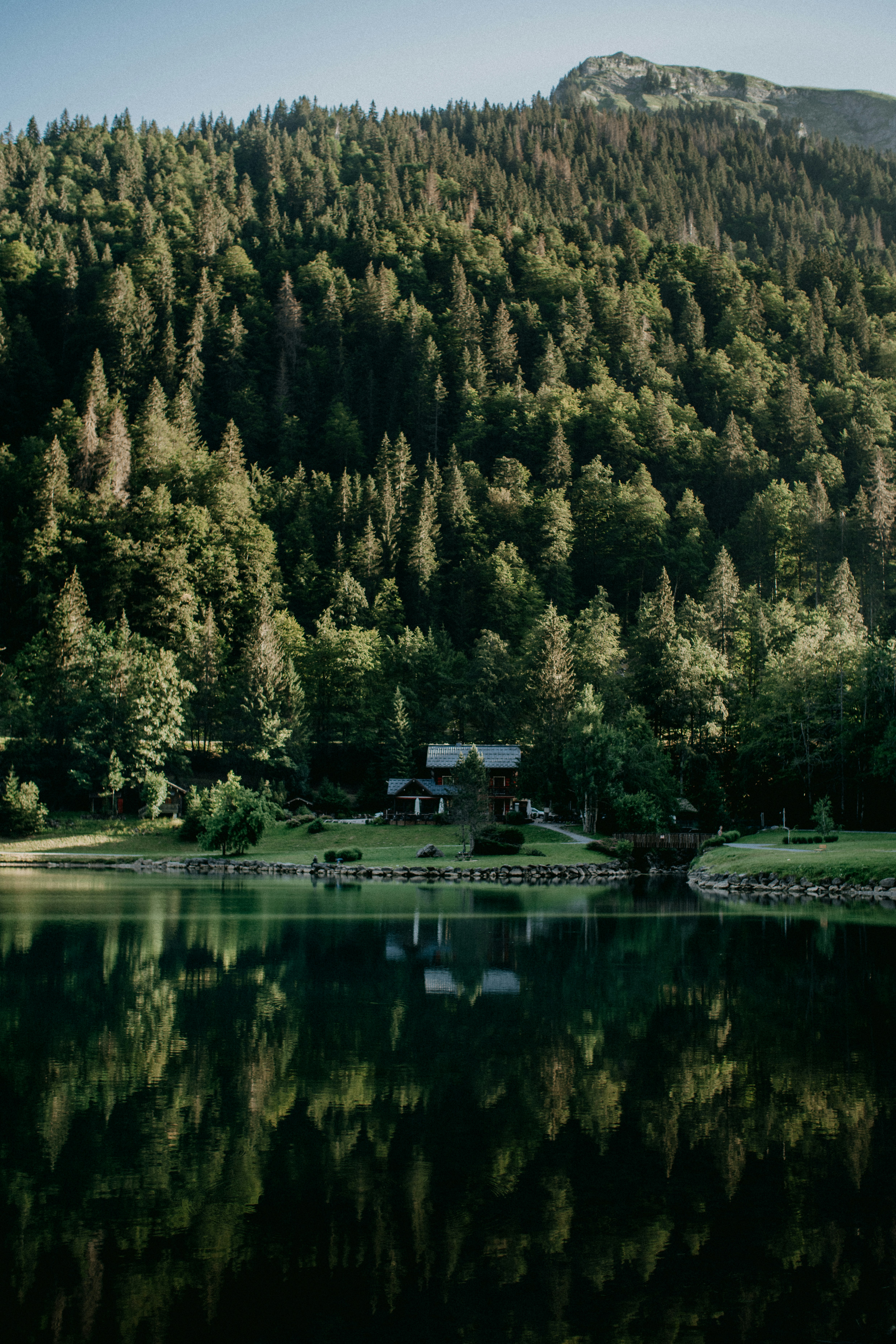 Photo by anniespratt