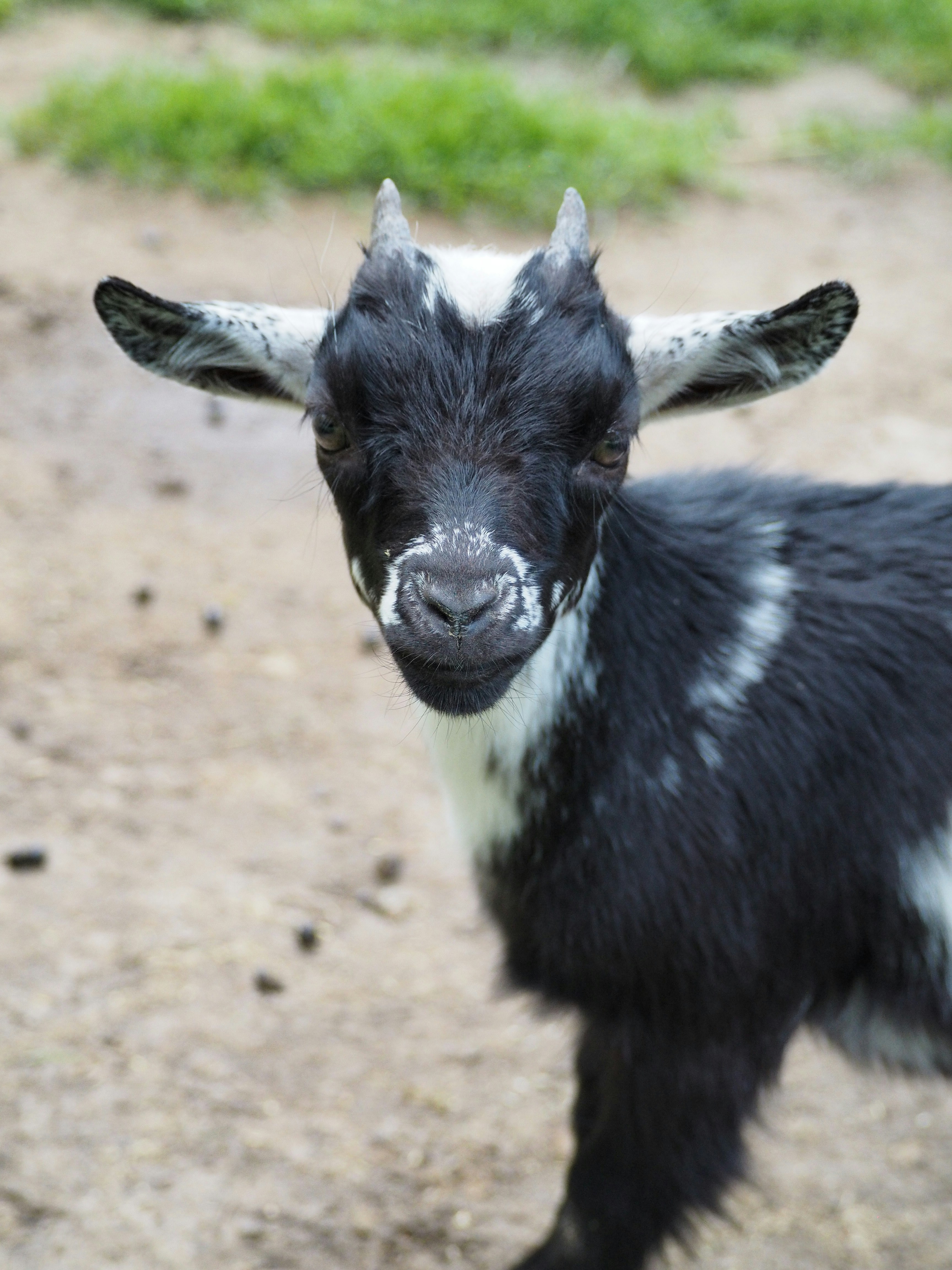 Photo by behnazyosofi