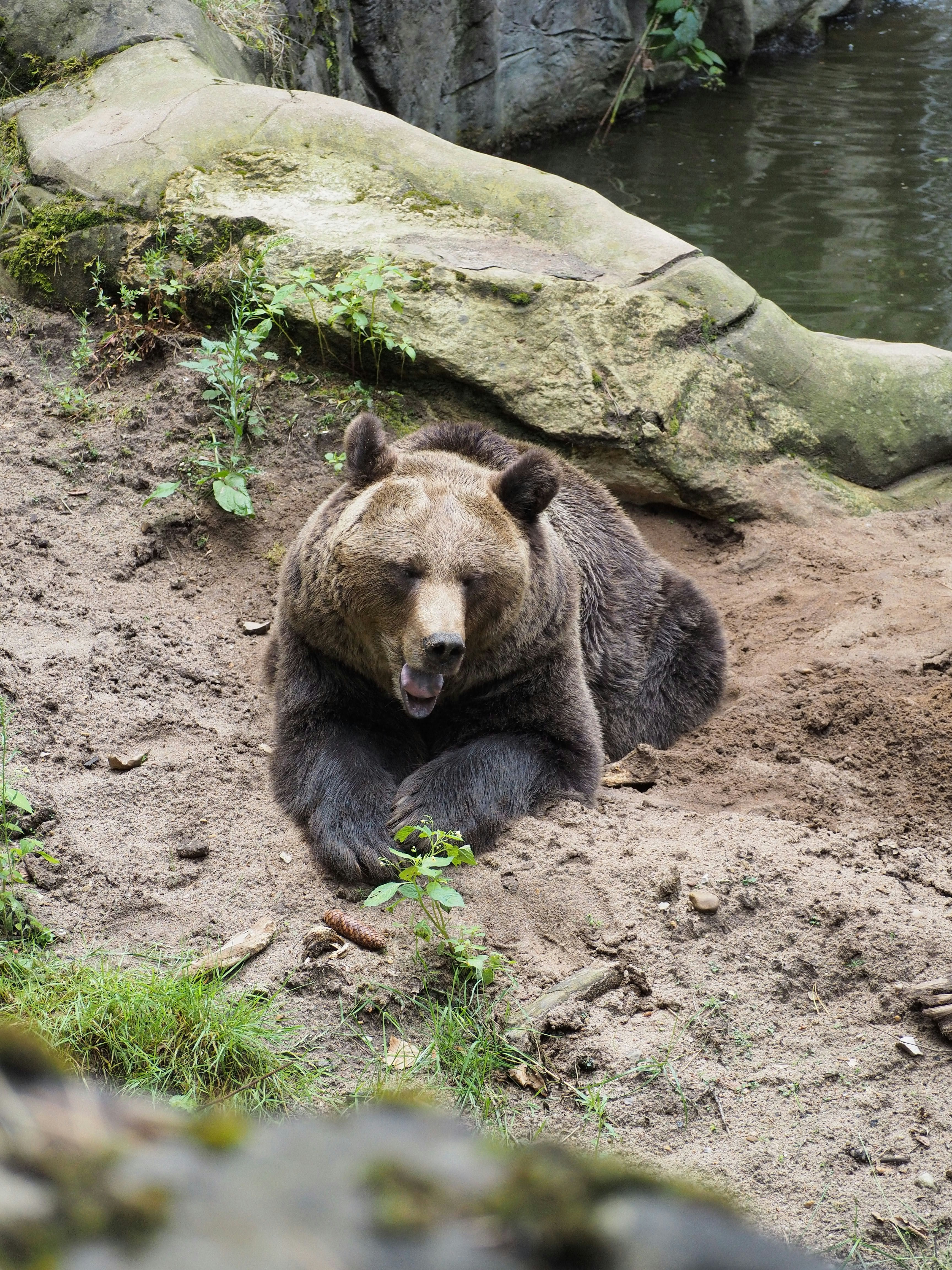 Photo by behnazyosofi