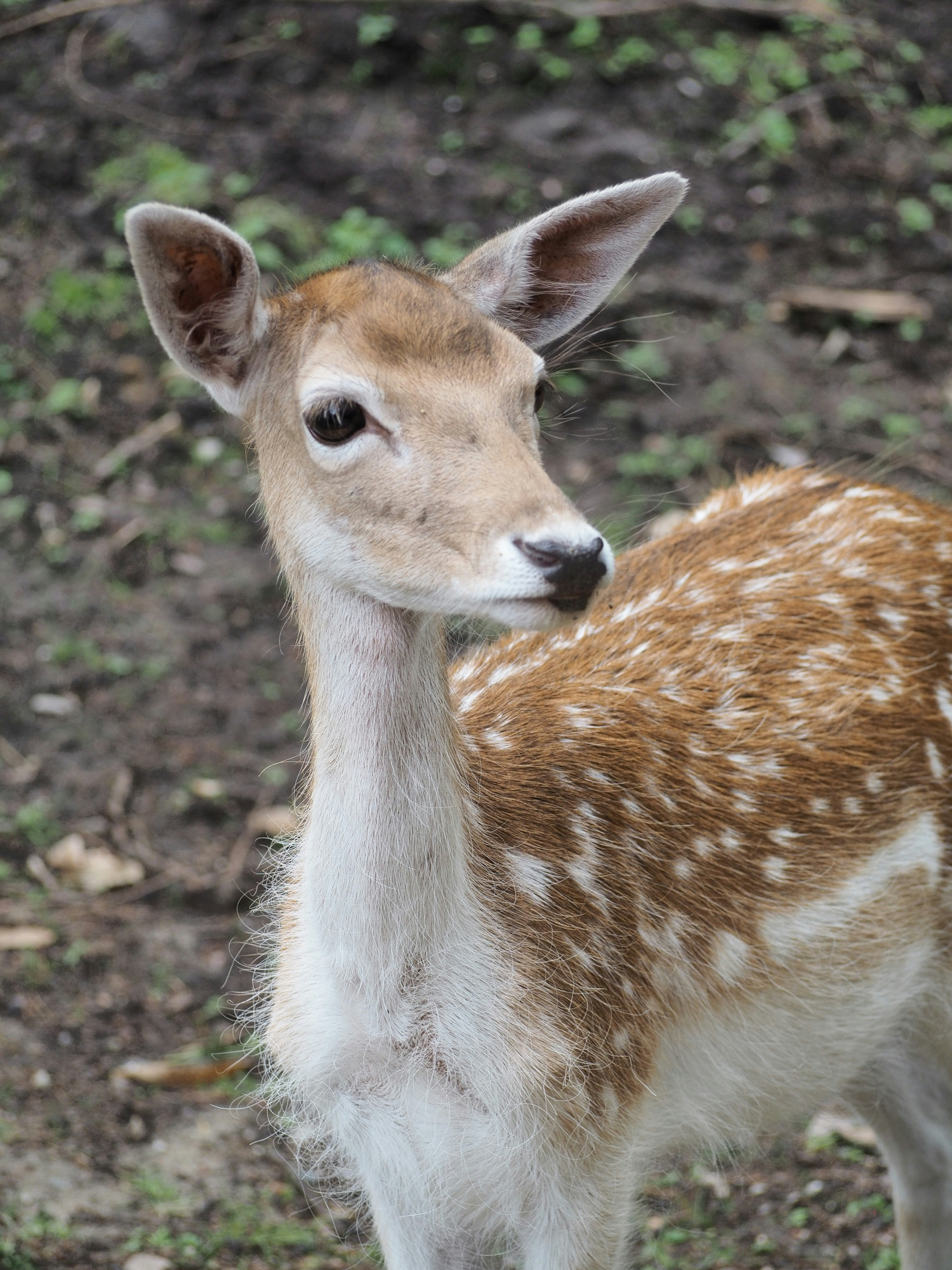 Photo by behnazyosofi