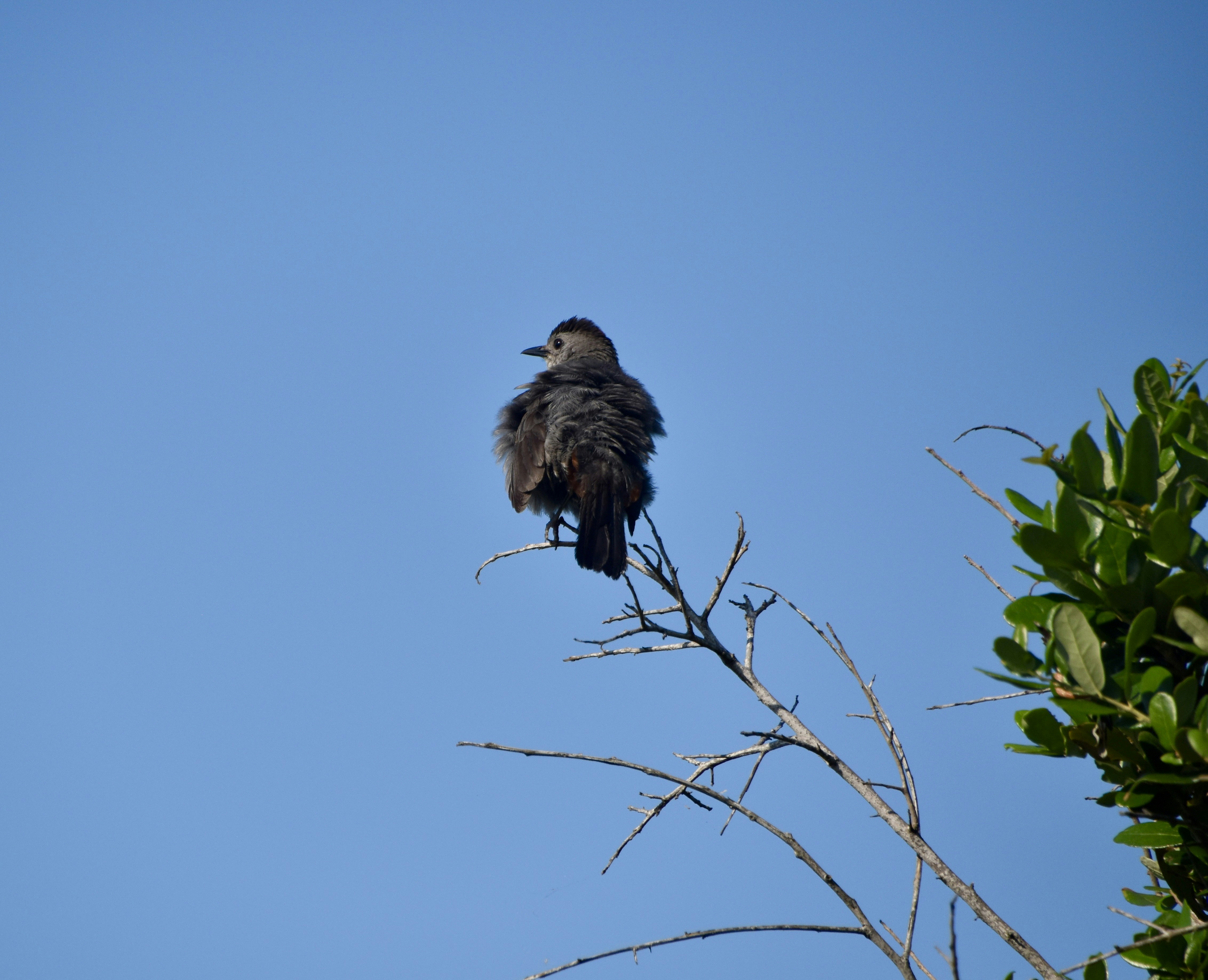 Photo by cindie_photographer