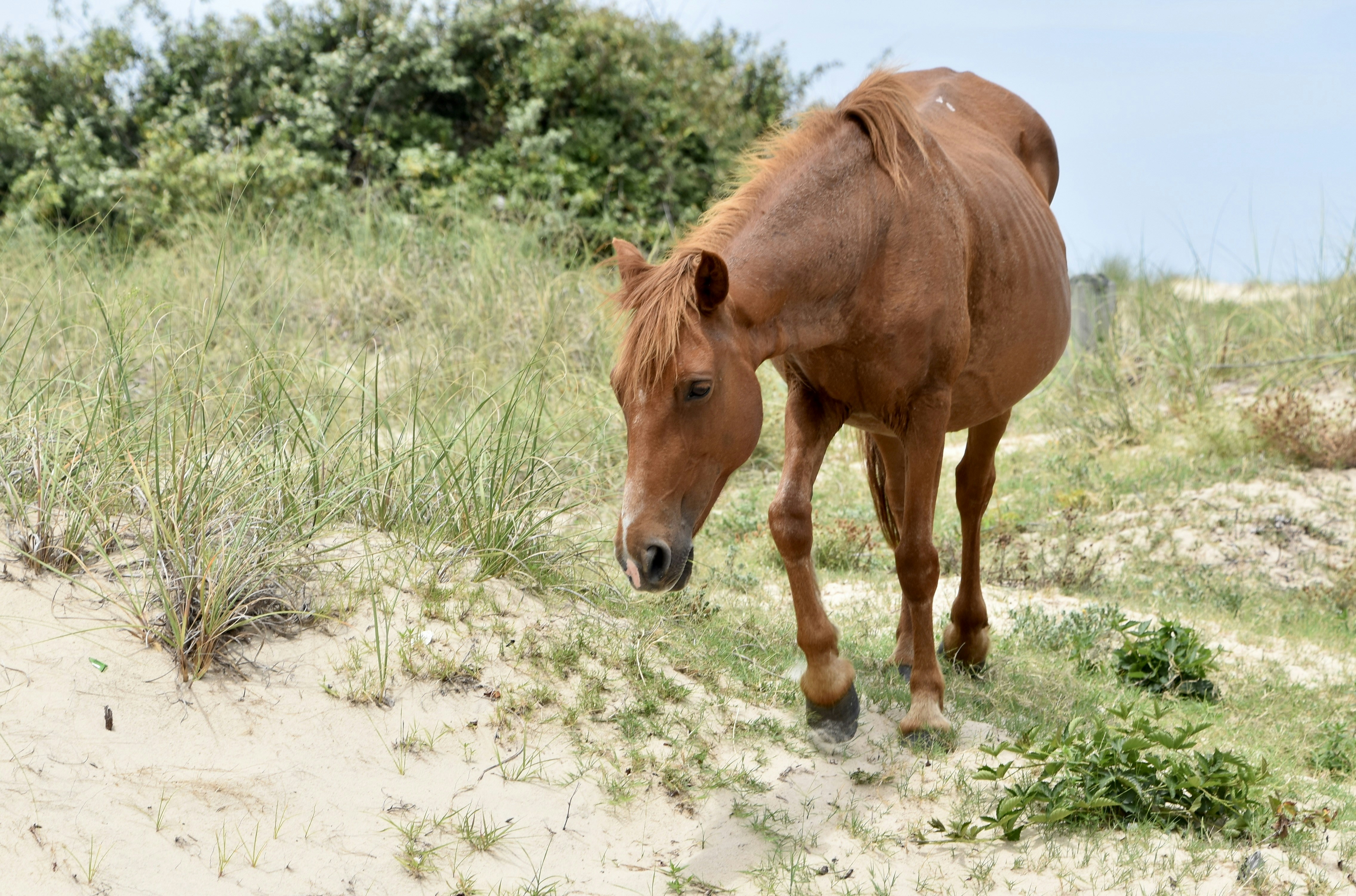 Photo by cindie_photographer