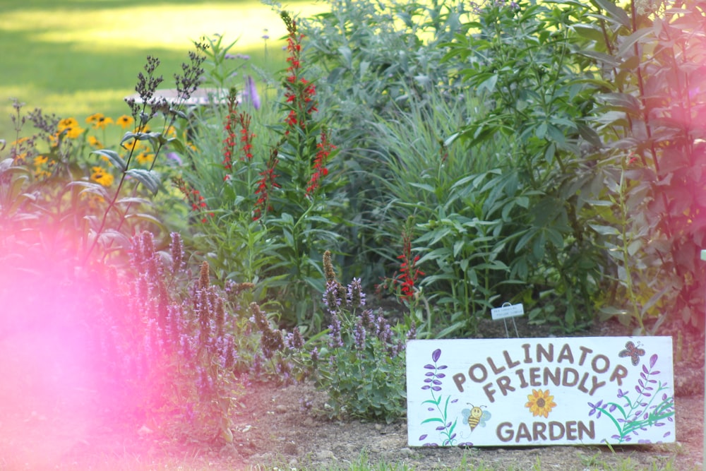 a sign that is in the grass near flowers