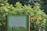 A community garden sign stands in front of a lush growth of tall green plants, with numerous sunflowers blooming beside it. The sign details information about the Newark Park Community Garden and its contributors.